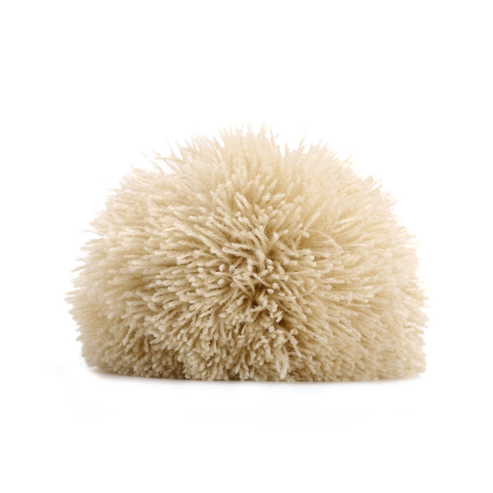 Pompon beige